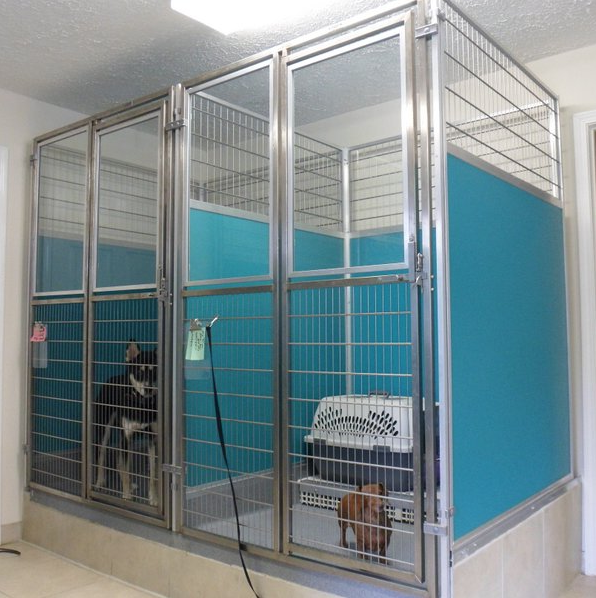 Dog Adoption Kennels - Enclosure system for smaller dogs